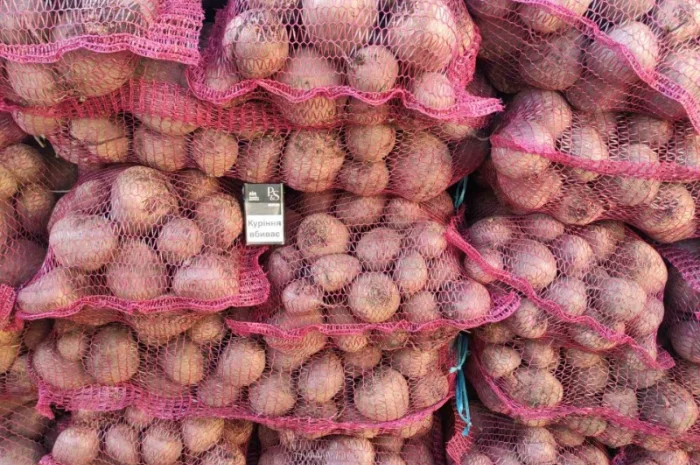 Продаю буряк сорту Детроід- фото № 4