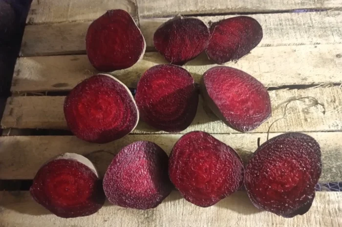 Продаж столового буряка Пабло- фото № 4