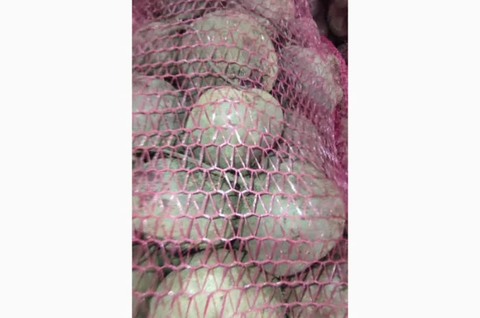 Продаю столовий буряк сорту Зепо- фото № 3