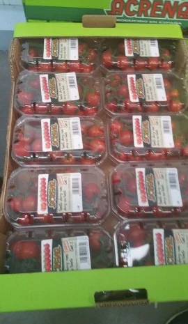 Продаж томатів різних сортів- фото № 3