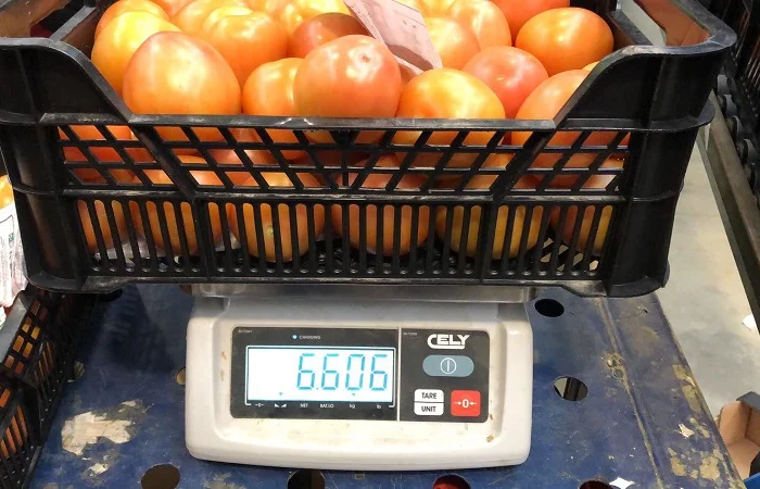 Продаж томатів різних сортів- фото № 17