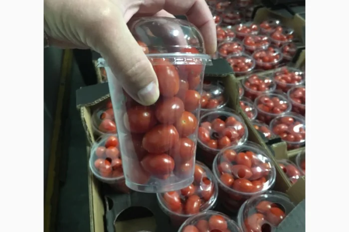 Продаж томатів різних сортів- фото № 11