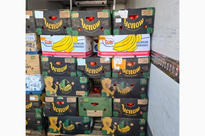 Продаж помідорів румунського виробництва- фото № 1