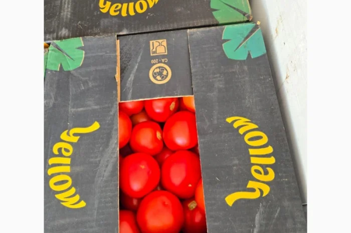 Продаж помідорів румунського виробництва- фото № 2
