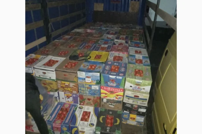 Помідор Шпалєрка на продаж- фото № 4