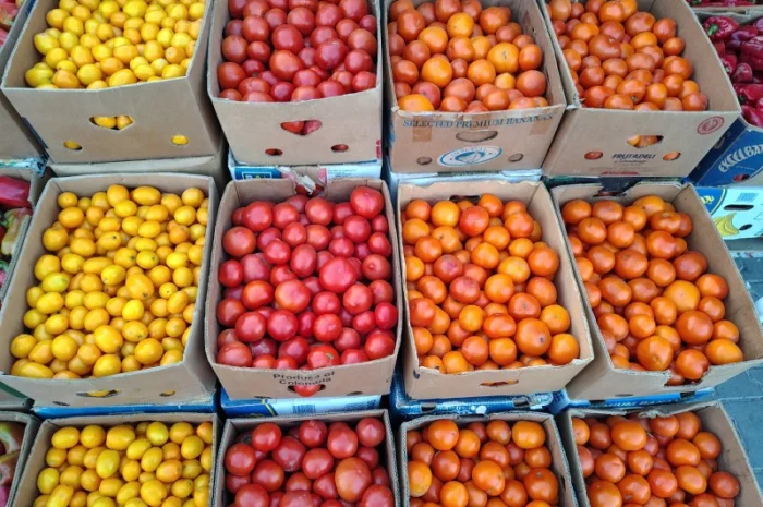 Крупный красный помидор оптом- фото № 1