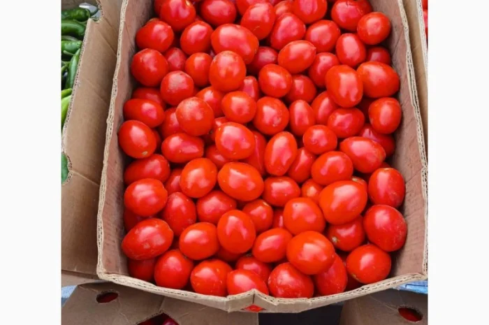 Куплю помідори сливки- фото № 1