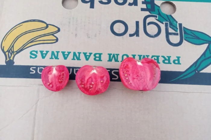 Рожевий помідор оптом за доступними цінами- фото № 7