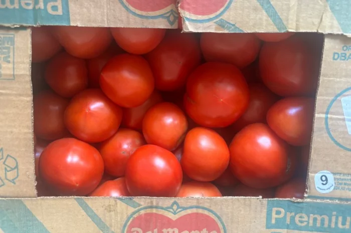 Продаж круглий тепличний помідор високої якості- фото № 2
