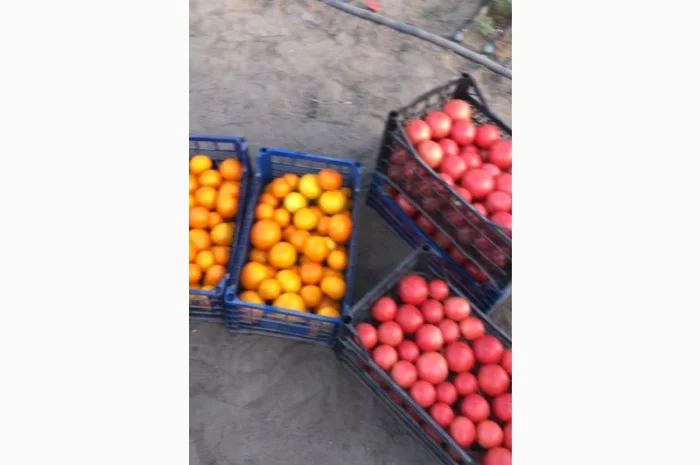 Продаю смачні томати жовтого та рожевого кольору- фото № 1