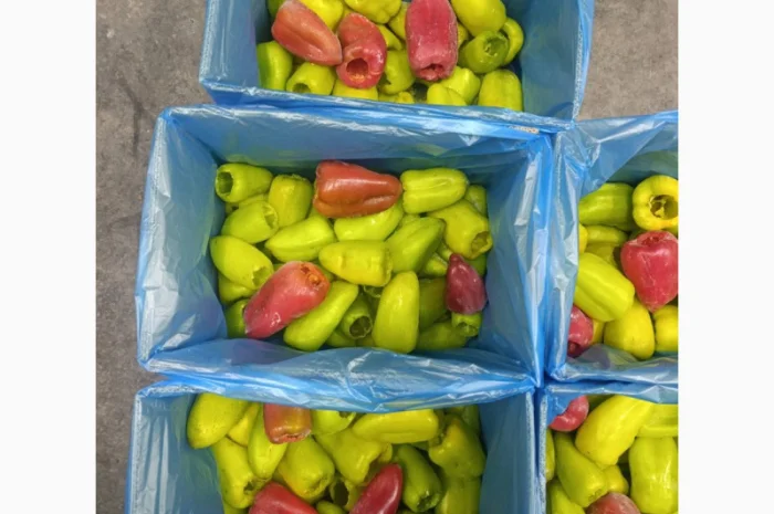 Целый замороженный перец трёх видов- фото № 1