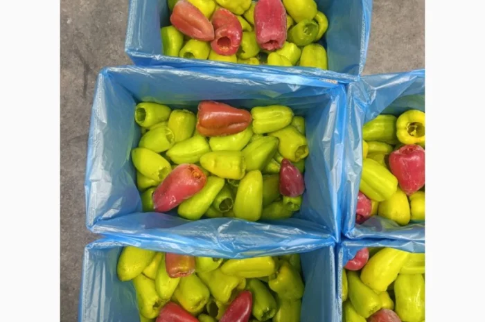 Продаж замороженого перцю Тріо- фото № 3