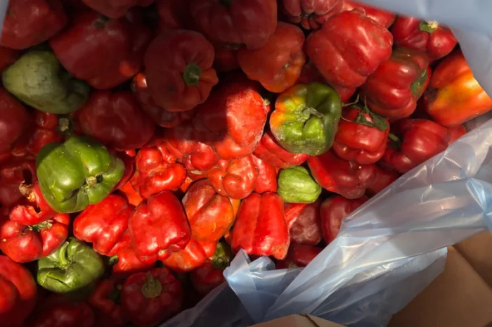 Пропонується заморожений цілий перець- фото № 1