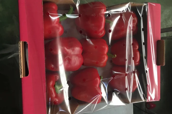Перець з Іспанії на продаж- фото № 2