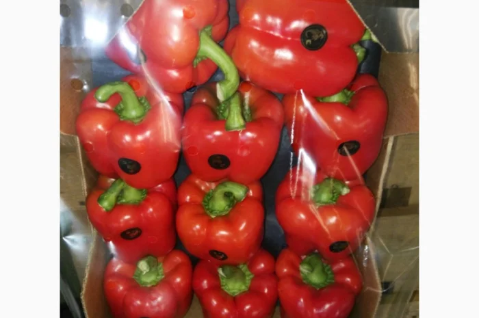 Перець з Іспанії на продаж- фото № 3