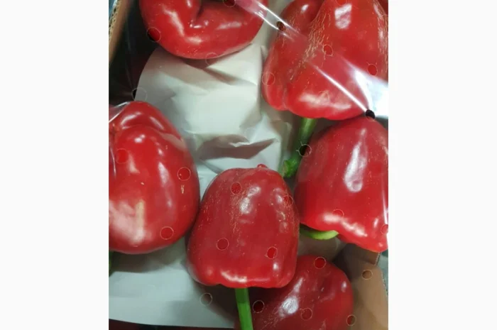 Перець з Іспанії на продаж- фото № 6