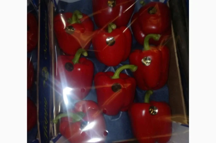 Перець з Іспанії на продаж- фото № 8