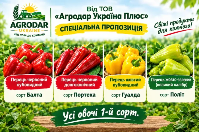 Сладкий перец (Красный желтый зеленый) Кубовидный и длинный- фото № 1