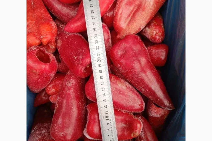 Продаж свіжомороженого столового перця- фото № 4