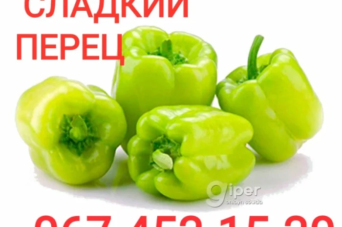 Продаж солодкого перцю для переробки- фото № 1