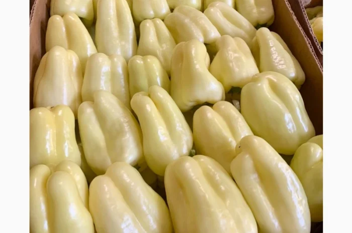 Перець різних сортів під клієнта- фото № 5