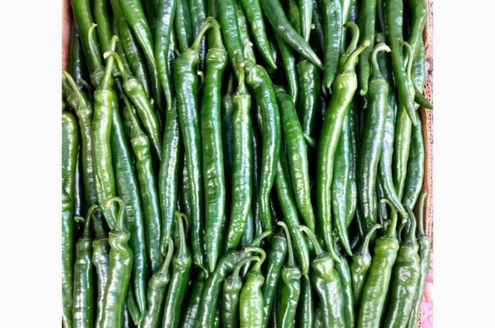 Гострий перець Хайфі на продаж- фото № 3