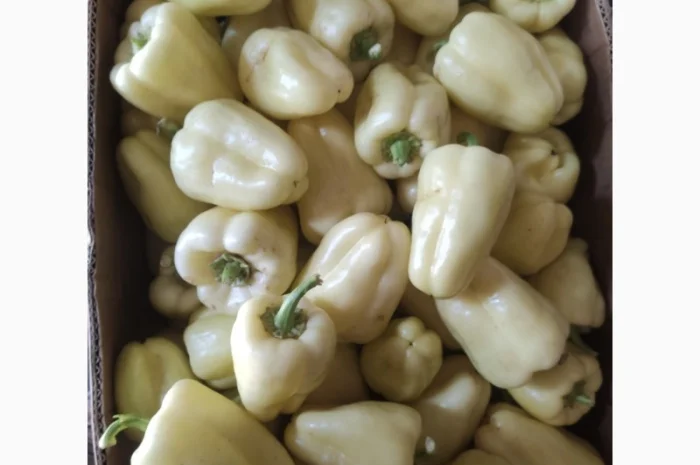 Солодкий перець Барбі на продаж- фото № 2