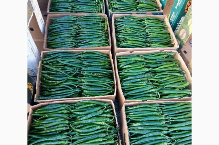 Гострий перець Хайфі на продаж- фото № 1