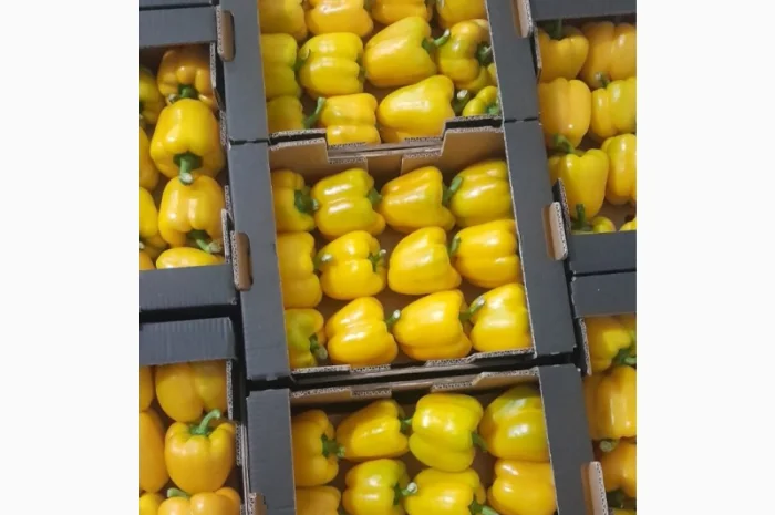 Покупка перцю оптом- фото № 1