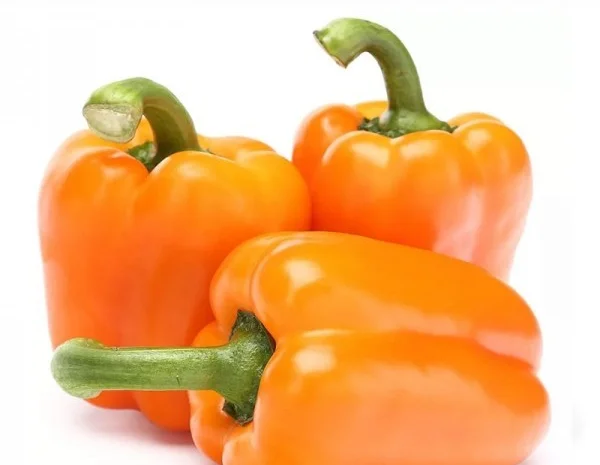 Продаж болгарського солодкого оранжевого перцю з Єгипту- фото № 1