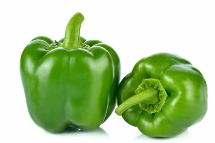 Продаж перцю болгарського солодкого зеленого з Єгипту- фото № 1
