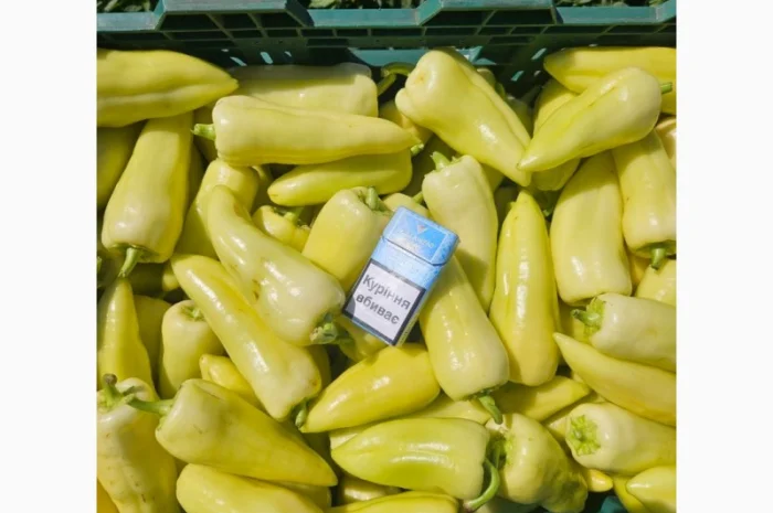 Продаж перцю белозерка і топгір- фото № 1