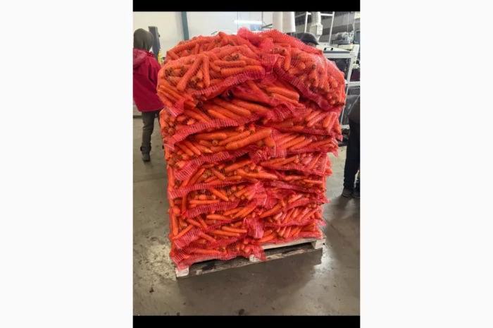Продажа моркови мита высокого качества- фото № 2