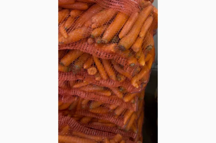 Продажа моркови мита высокого качества- фото № 4