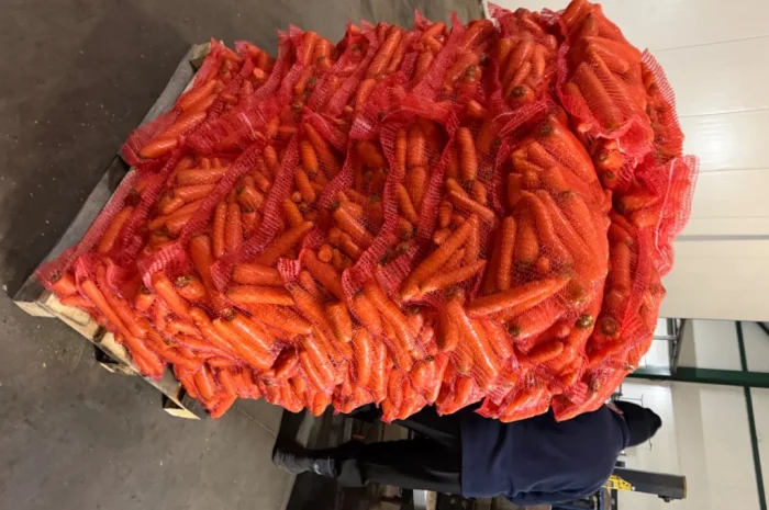 Продажа моркови мита высокого качества- фото № 5