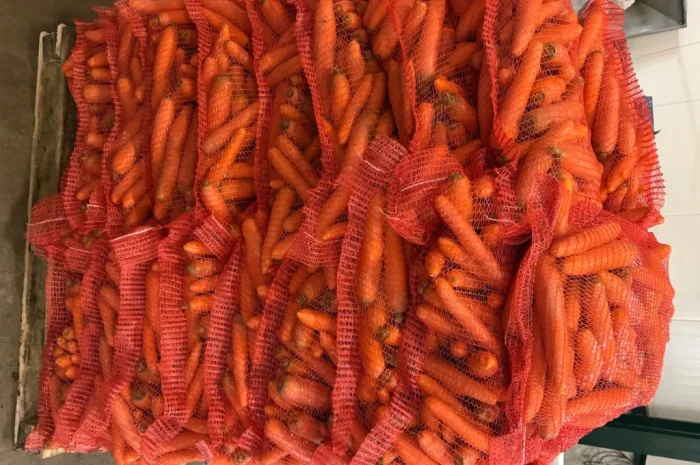 Продажа моркови мита высокого качества- фото № 6