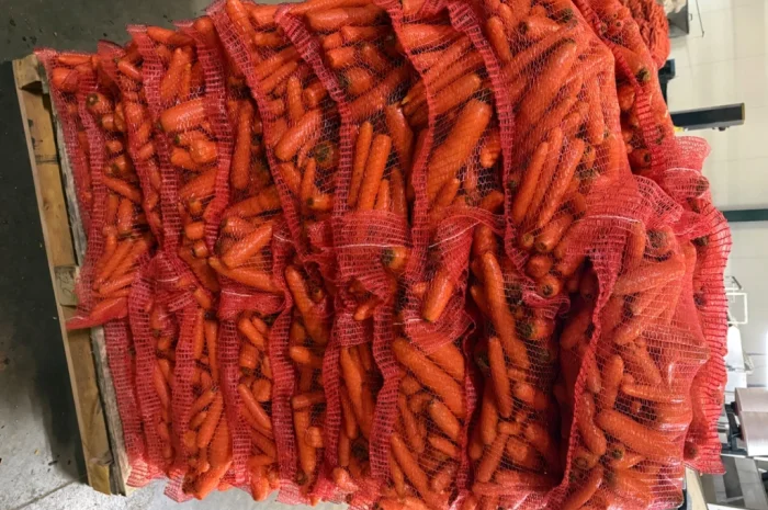 Продажа моркови мита высокого качества- фото № 7