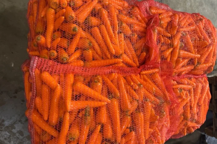 Продаю морковь сорта Шантане 1 гатунок- фото № 1