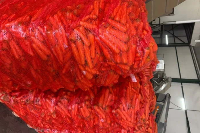 Продаю морковь сорта Шантане 1 гатунок- фото № 9