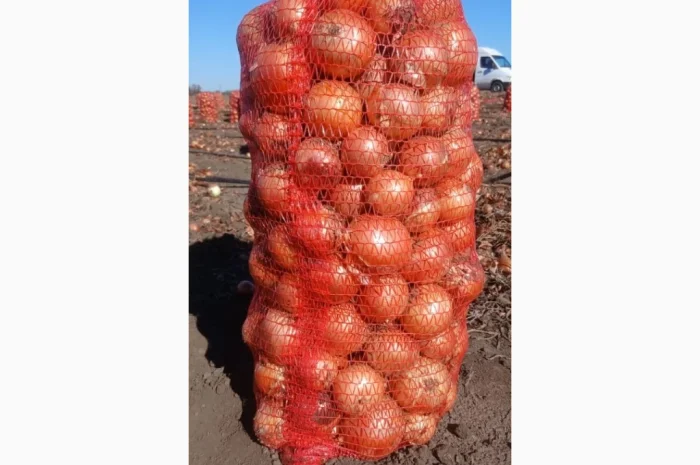 Продаж лука репчатого 1 сорту оптом- фото № 2