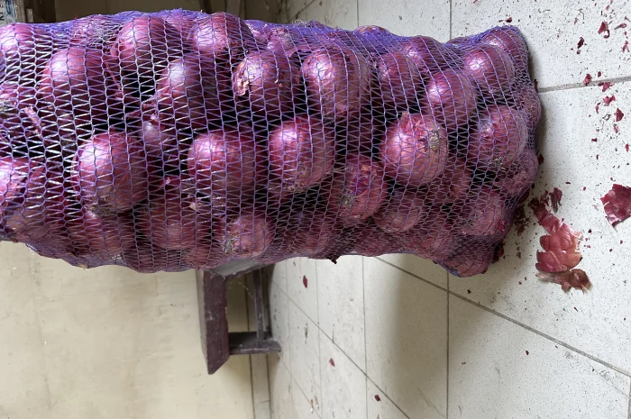 Лук Марс високої якості на продаж- фото № 1