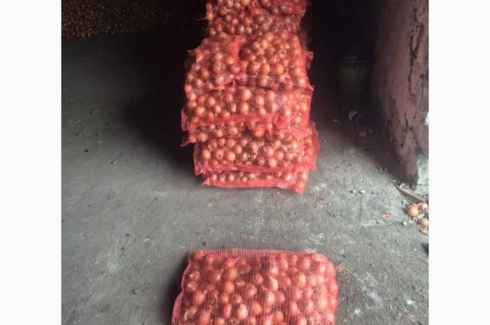 Продаж якісного лука- фото № 1