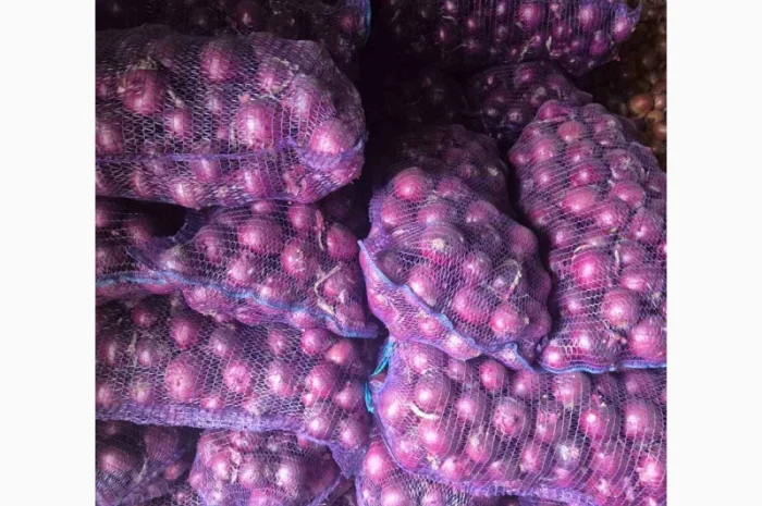 Продаж якісного лука- фото № 2