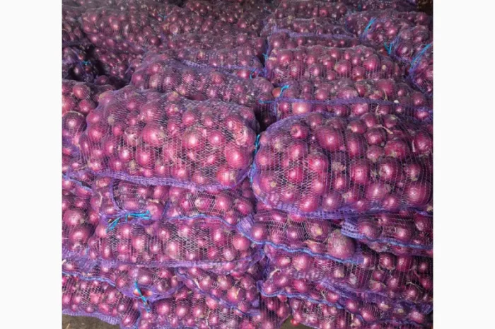 Продаж якісного лука- фото № 3