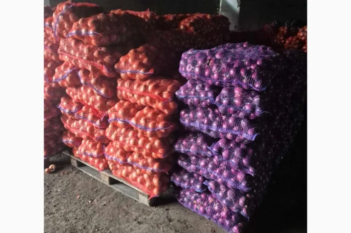 Продаж якісного лука- фото № 4