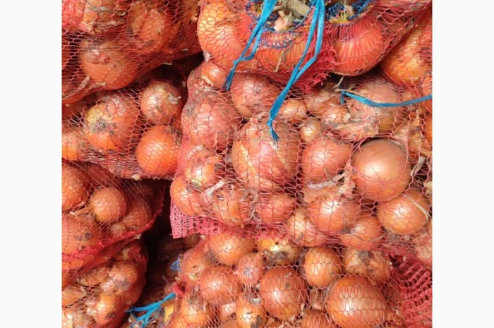 Цибуля пізніх сортів на продаж- фото № 3