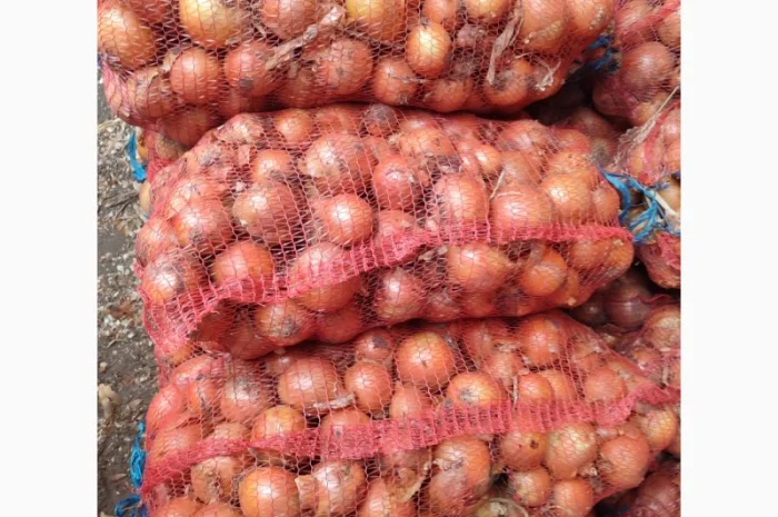 Цибуля пізніх сортів на продаж- фото № 5