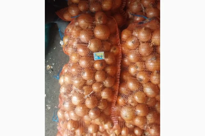 Цибуля пізніх сортів на продаж- фото № 8