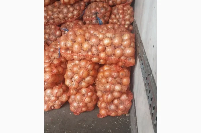 Цибуля пізніх сортів на продаж- фото № 9