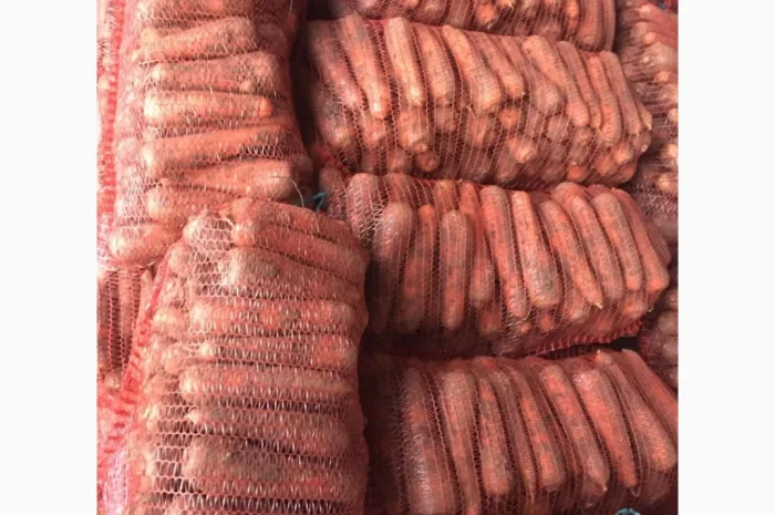 Покупка моркви на постійній основі- фото № 1